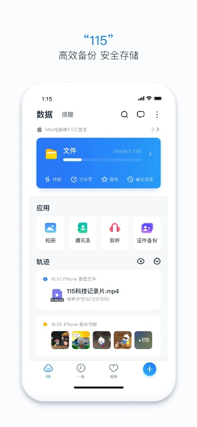 探索宝藏,揭秘115网盘版本,数据整合执行方案_尊贵版_v10.365的独特魅力