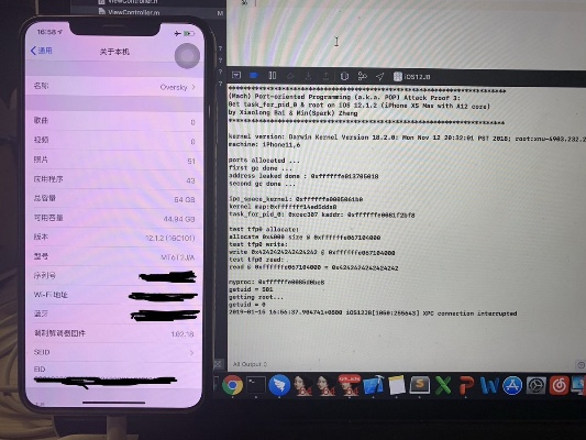 苹果什么版本不能越狱,实践策略设计-8DM_v4.890