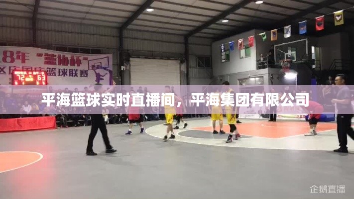 服务项目 第217页