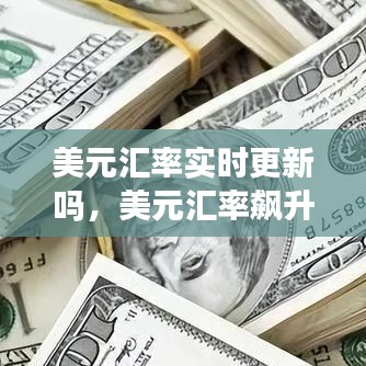 美元汇率实时更新吗，美元汇率飙升 