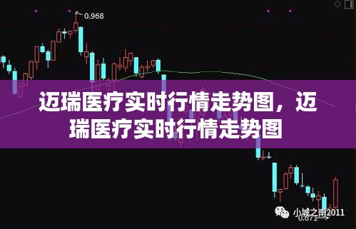 迈瑞医疗实时行情走势图，迈瑞医疗实时行情走势图 