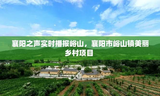 联系我们 第220页