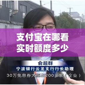 支付宝在哪看实时额度多少，支付宝怎么看额度多少 