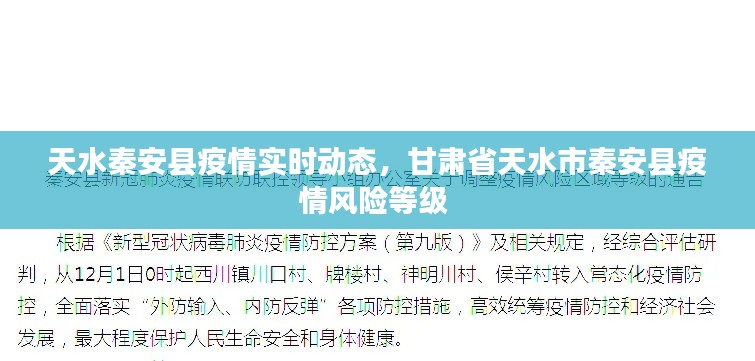 新闻动态 第213页