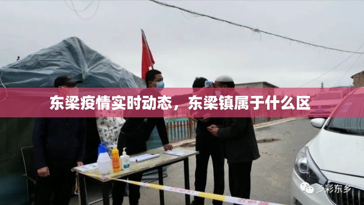 东梁疫情实时动态，东梁镇属于什么区 