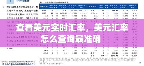 查看美元实时汇率，美元汇率怎么查询最准确 