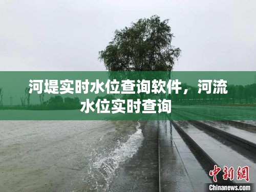 客户反馈 第210页