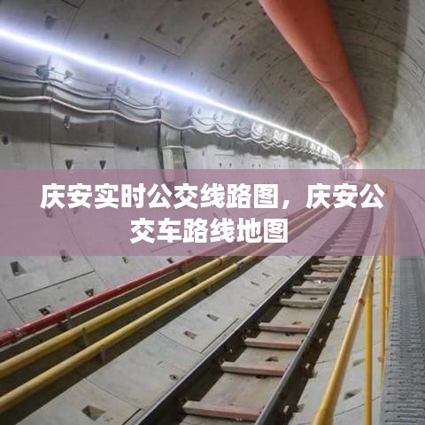 花香鸟语 第4页