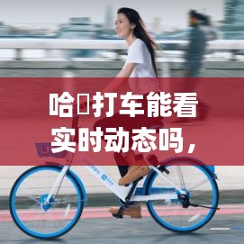 哈啰打车能看实时动态吗，哈啰打车能看实时动态吗怎么看 