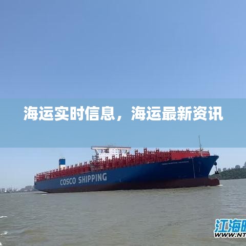 海运实时信息，海运最新资讯 
