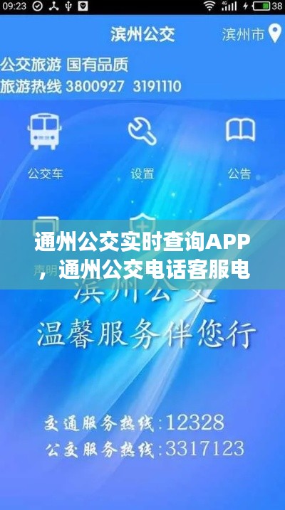 服务项目 第211页