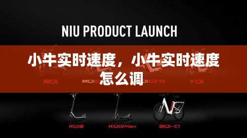 小牛实时速度，小牛实时速度怎么调 