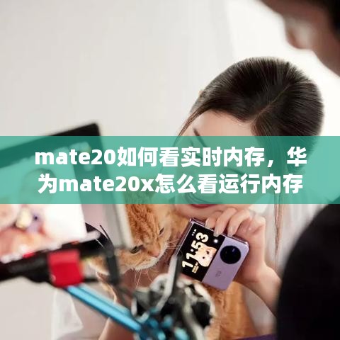 mate20如何看实时内存，华为mate20x怎么看运行内存用了多少 
