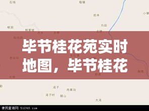 毕节桂花苑实时地图，毕节桂花苑在哪里 