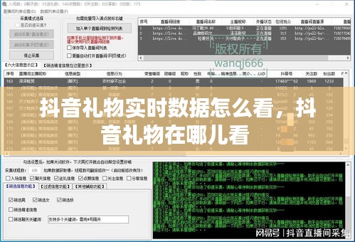 抖音礼物实时数据怎么看，抖音礼物在哪儿看 