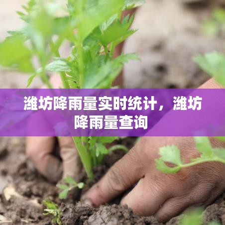 潍坊降雨量实时统计，潍坊降雨量查询 