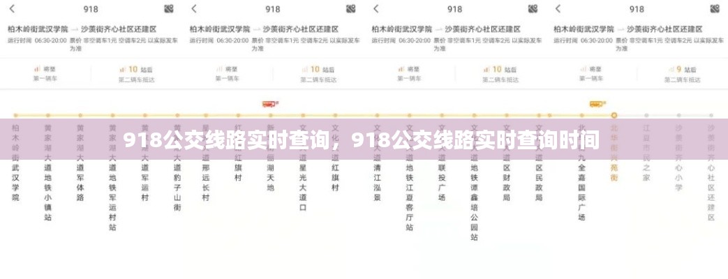 闻所未闻 第3页
