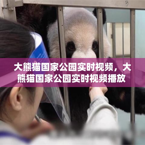 联系我们 第215页