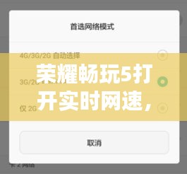 荣耀畅玩5打开实时网速，荣耀畅玩5打开实时网速慢 