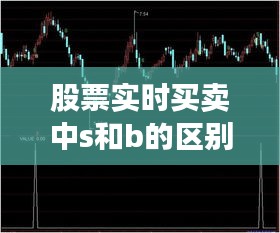 股票实时买卖中s和b的区别，s和b股票买卖中的意思 