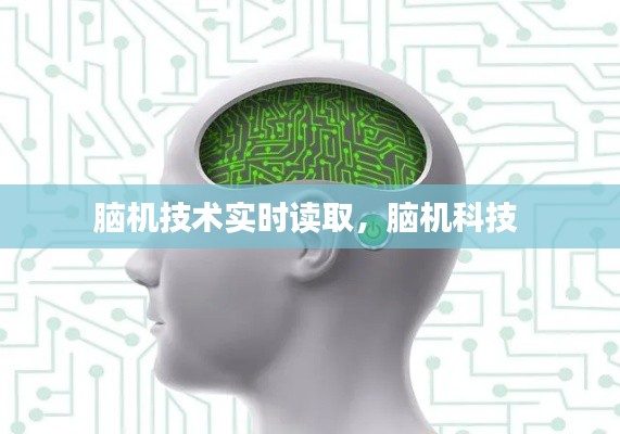 脑机技术实时读取，脑机科技 