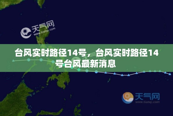 新闻动态 第206页