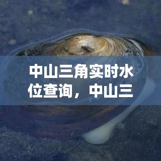 中山三角实时水位查询，中山三角供水公司电话 