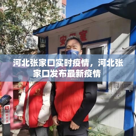 河北张家口实时疫情，河北张家口发布最新疫情 