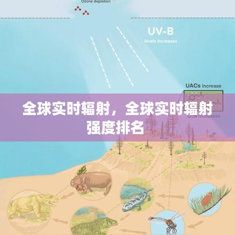 全球实时辐射，全球实时辐射强度排名 