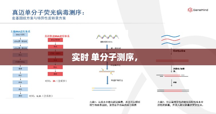新闻动态 第205页