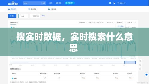 搜实时数据，实时搜索什么意思 