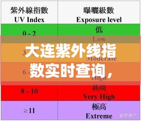 客户反馈 第203页