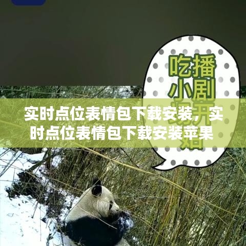 新闻动态 第231页