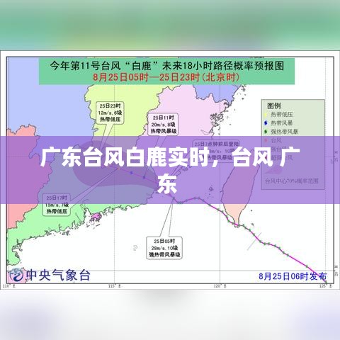 广东台风白鹿实时，台风 广东 