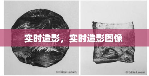 客户反馈 第202页