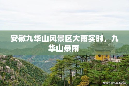 新闻动态 第204页
