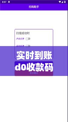 实时到账d0收款码，扫码实时到账 