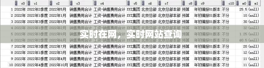 实时在网，实时网站查询 