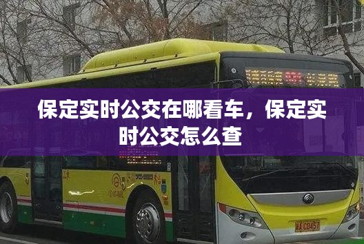保定实时公交在哪看车，保定实时公交怎么查 