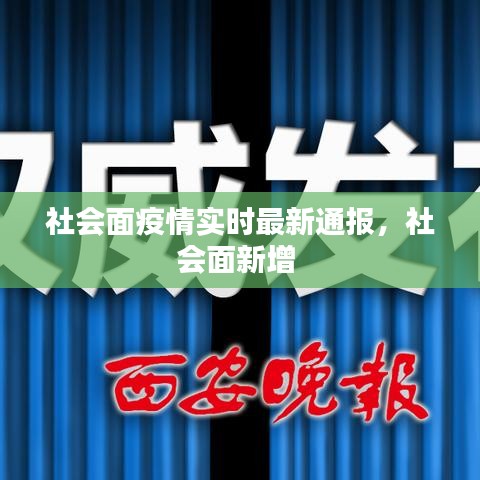 鸟为食亡 第4页