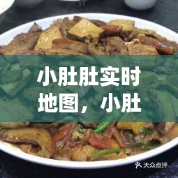 小肚肚实时地图，小肚肚照片看 