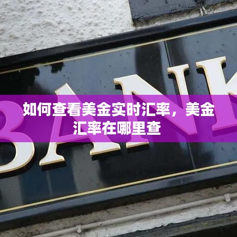衣不兼采 第4页