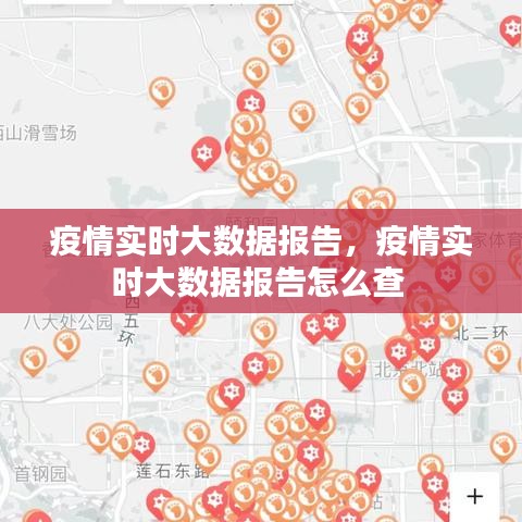 疫情实时大数据报告，疫情实时大数据报告怎么查 