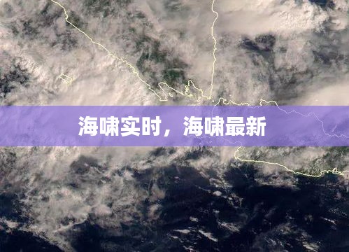海啸实时，海啸最新 