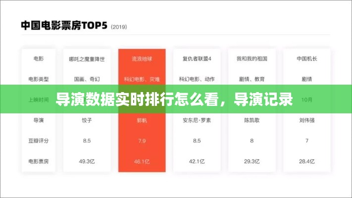 导演数据实时排行怎么看，导演记录 