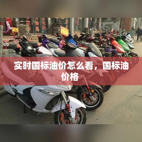 实时国标油价怎么看，国标油价格 