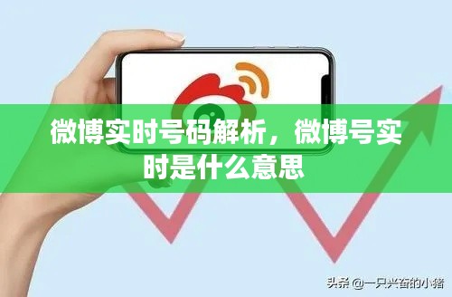 微博实时号码解析，微博号实时是什么意思 