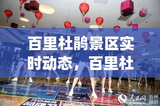 百里杜鹃景区实时动态，百里杜鹃景区开放了吗 
