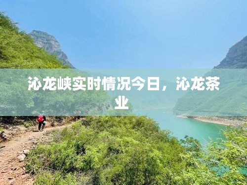 真独简贵 第3页