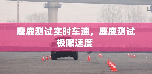 麋鹿测试实时车速，麋鹿测试极限速度 